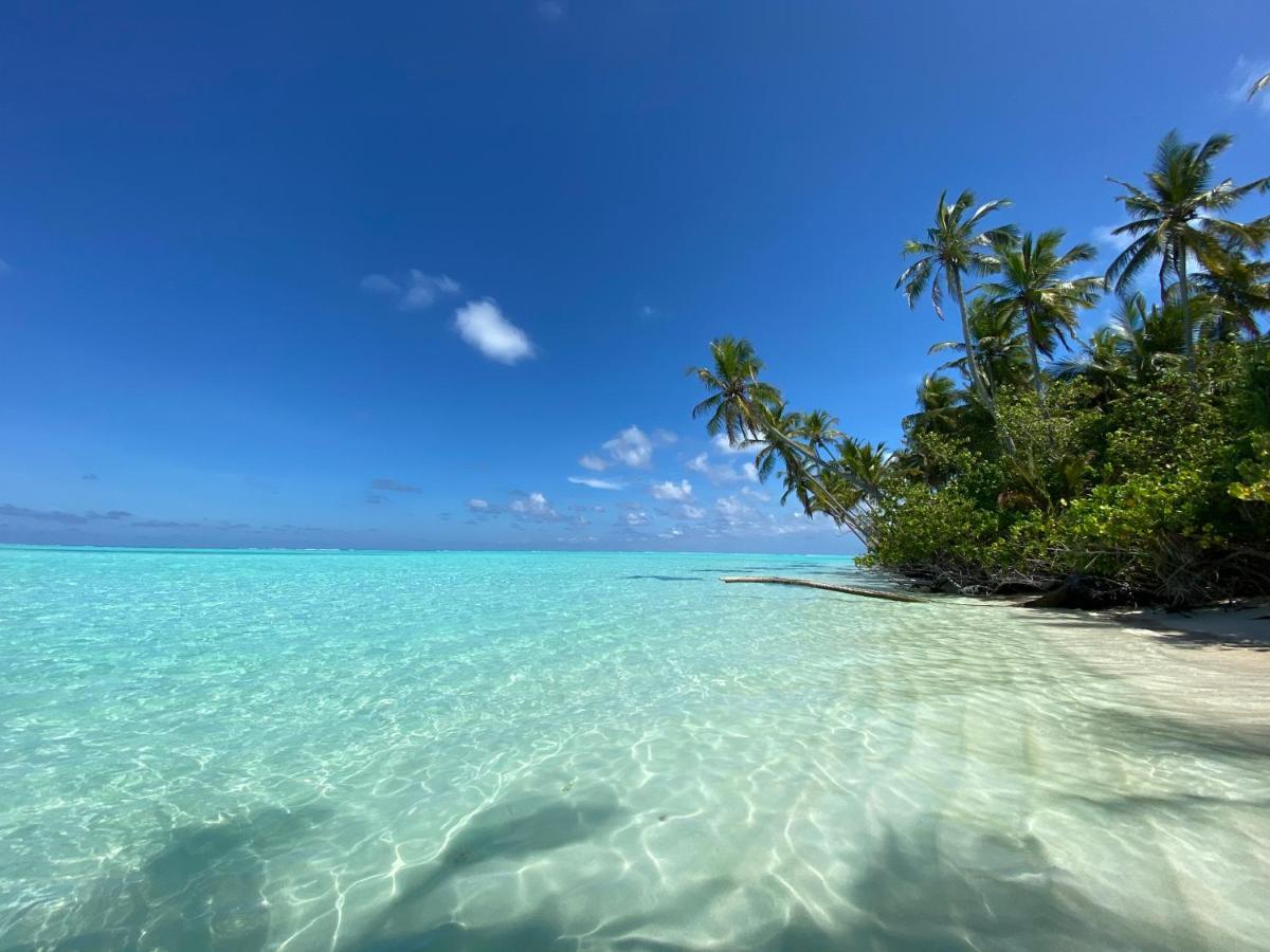 Alimas Holiday Retreat Maldives فيليدهو المظهر الخارجي الصورة