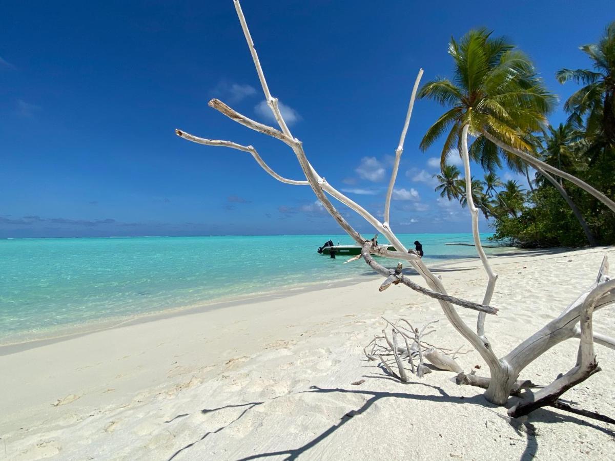 Alimas Holiday Retreat Maldives فيليدهو المظهر الخارجي الصورة