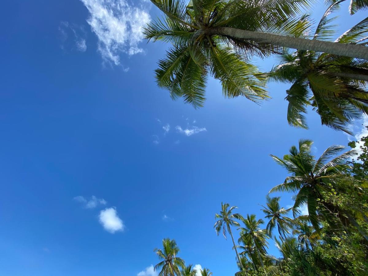 Alimas Holiday Retreat Maldives فيليدهو المظهر الخارجي الصورة