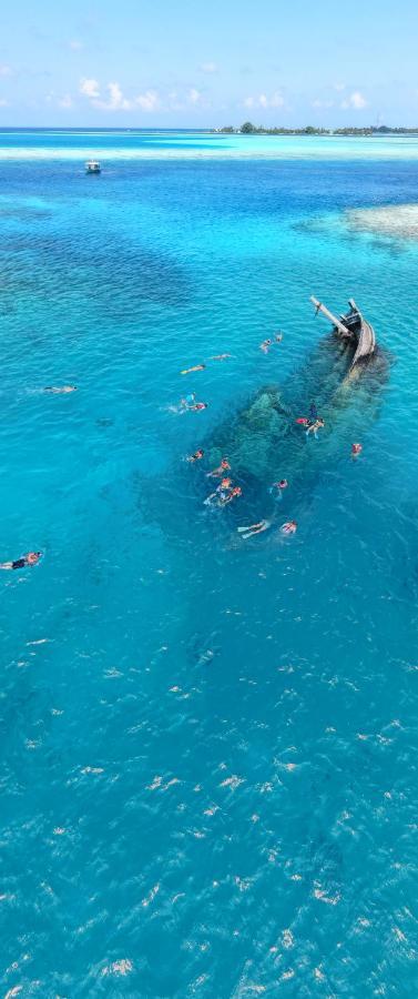Alimas Holiday Retreat Maldives فيليدهو المظهر الخارجي الصورة