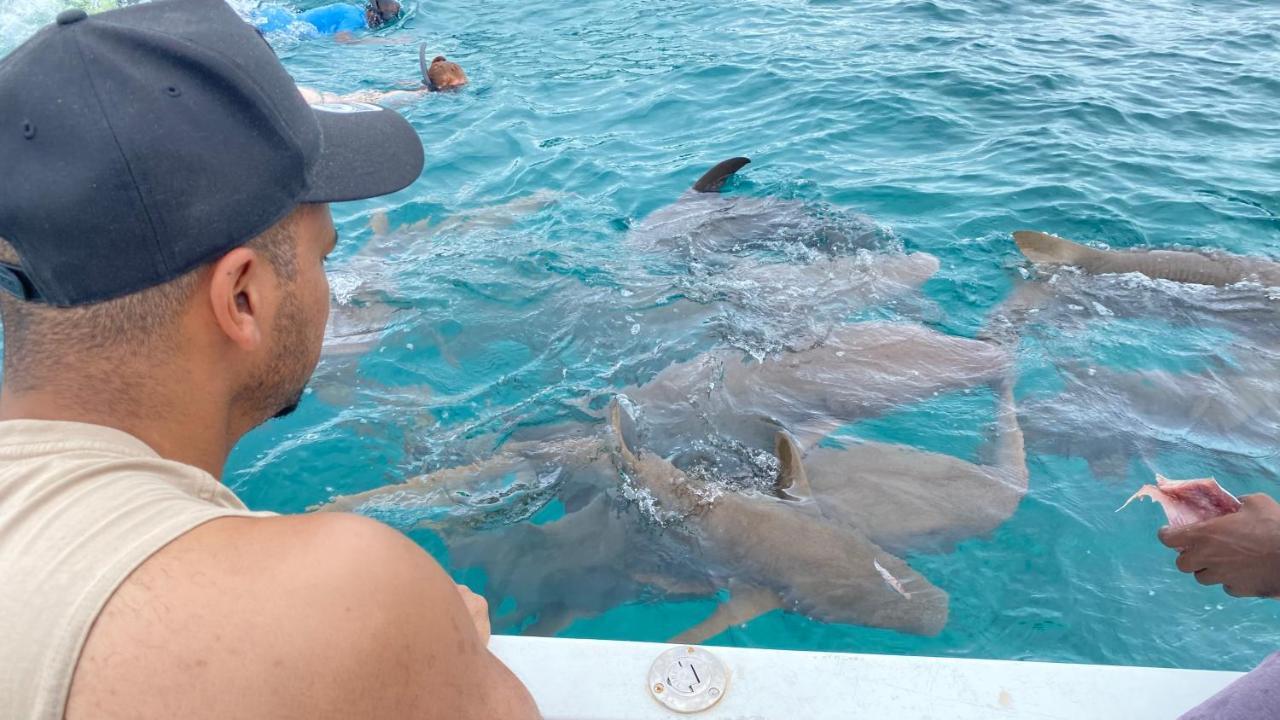 Alimas Holiday Retreat Maldives فيليدهو المظهر الخارجي الصورة