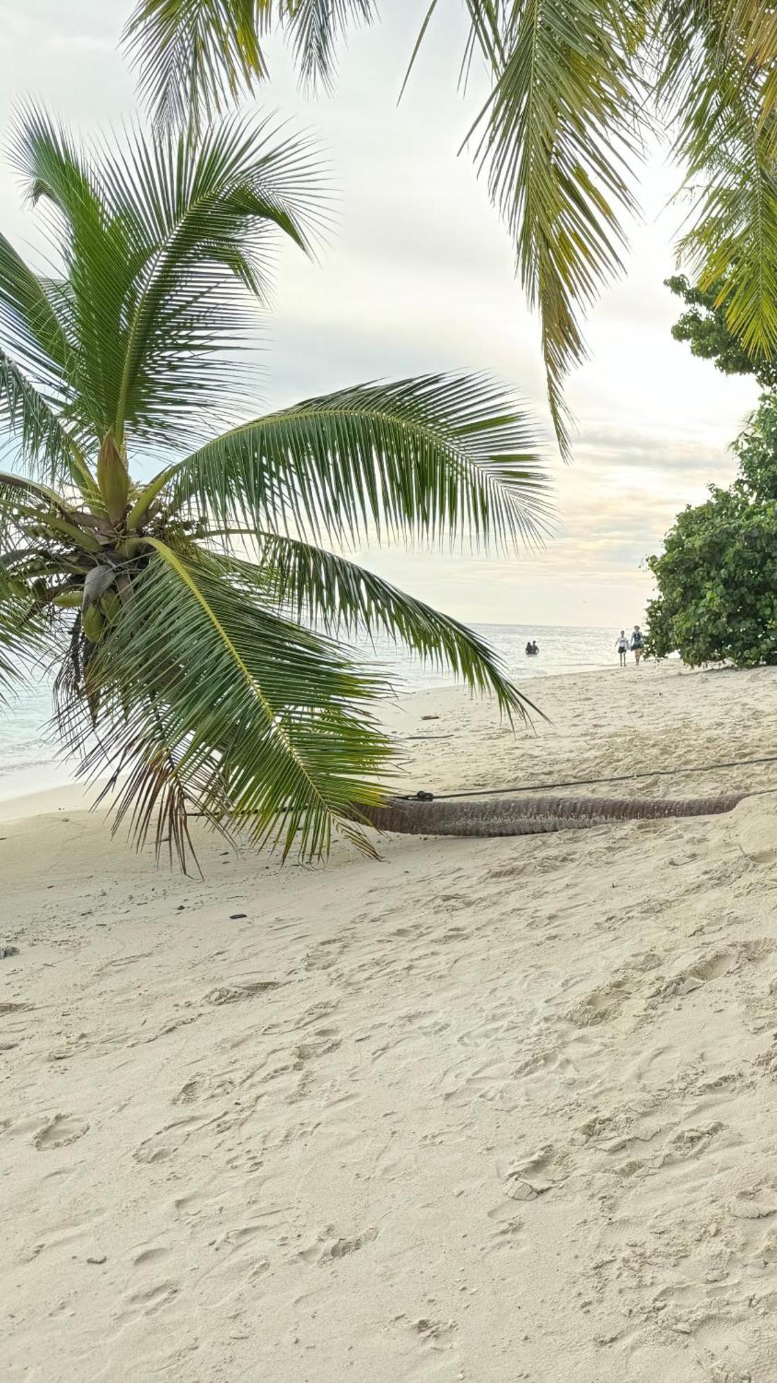 Alimas Holiday Retreat Maldives فيليدهو المظهر الخارجي الصورة